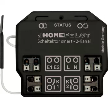 HOMEPILOT smart perjungimo pavara 2 kanalų 11941002