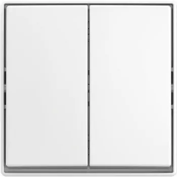 BUSCH JAEGER svirties jungiklis AP 2601/5 J-524 (2TKA00005523)