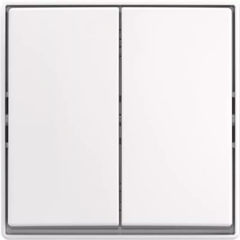BUSCH JAEGER svirties jungiklis AP 2601/5 J-524 (2TKA00005523)