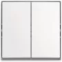 BUSCH JAEGER svirties jungiklis AP 2601/5 J-524 (2TKA00005523)