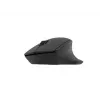 Natec belaidė pelė Siskin 2 BT 5.0 + 2,4 GHz