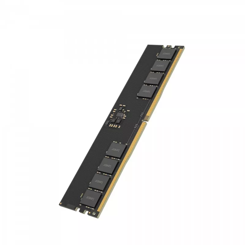 Atminties modulis Lexar LD5U32G56C46ST-BGS 1 x 32 GB DDR5 5600 MT/s ECC SO-DIMM CAS46