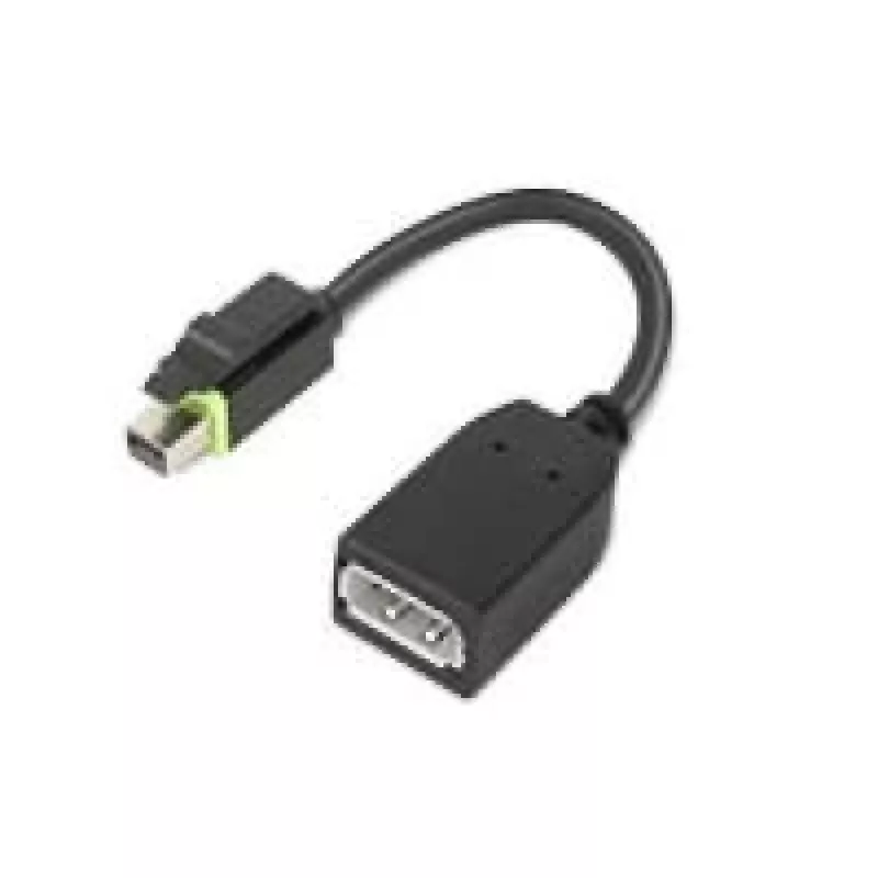 Lenovo 4X90Q93975 vaizdo kabelio adapteris Mini DisplayPort DisplayPort juodas