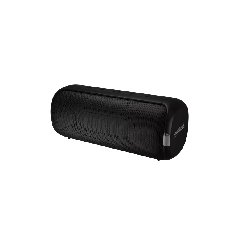 Stereo nešiojamas garsiakalbis Audictus Aurora Pro 20 W