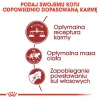 Royal Canin Feline Fit 2 kg kačių sausas ėdalas suaugusioms katėms