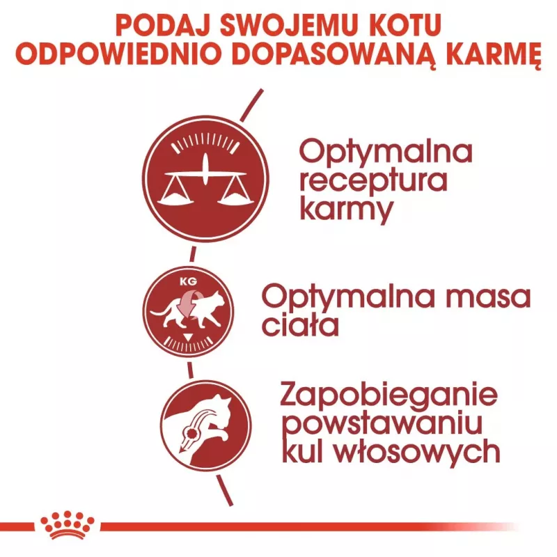 Royal Canin Feline Fit 2 kg kačių sausas ėdalas suaugusioms katėms
