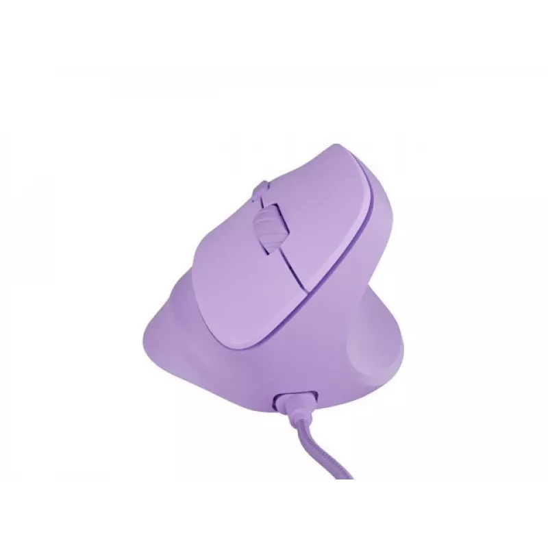 „NATEC Crake 2 Pro“ pelė universali dešiniarankė USB-A optinė 12800 DPI