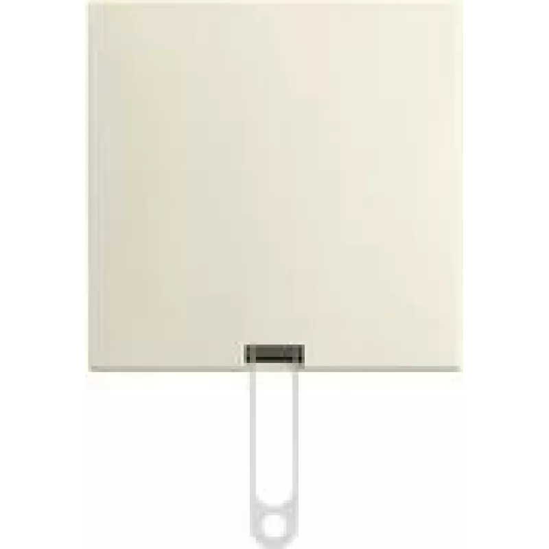 BUSCH JAEGER traukiamasis jungiklis AP 2610/6 J-522 (2TKA00005520)