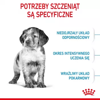 Sausas šunų maistas Royal Canin Medium Puppy 4 kg – vidutinių veislių 10–25 kg šuniukams, baltymų 32%, riebalų 20%, vištiena
