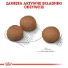 ROYAL CANIN CCN Medium Digestive Care - sausas šunų ėdalas - 3 kg