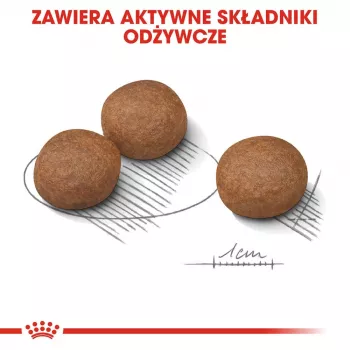 ROYAL CANIN CCN Medium Digestive Care - sausas šunų ėdalas - 3 kg