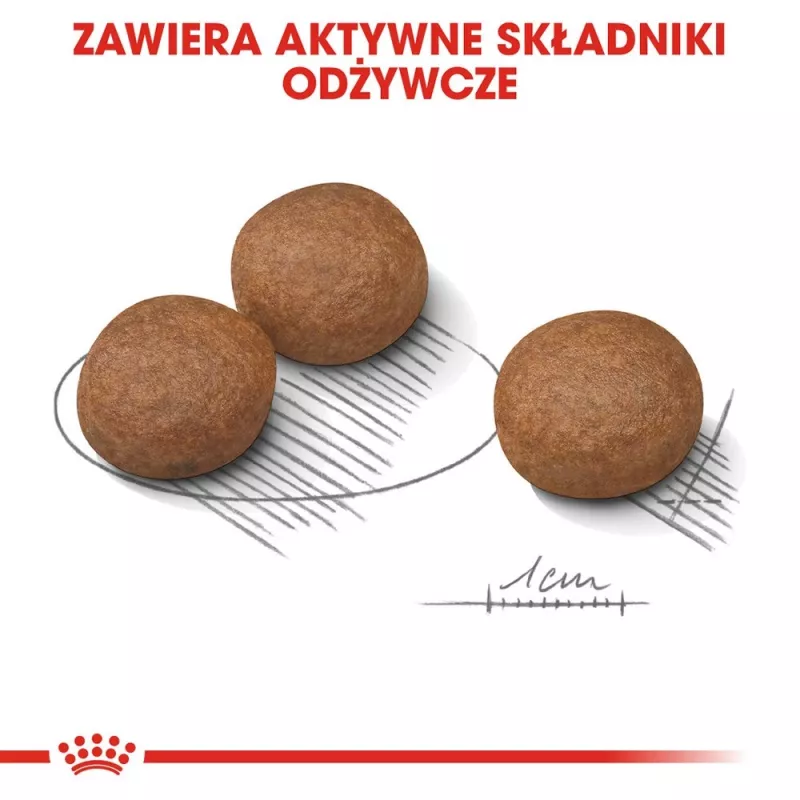 ROYAL CANIN CCN Medium Digestive Care - sausas šunų ėdalas - 3 kg