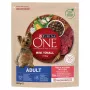 Sausas šunų ėdalas Purina Nestle Mini Adult su jautiena ir ryžiais 800 g — sausas pašaras mažiems suaugusiems šunims, 27% baltymai, 17% riebalų