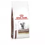 ROYAL CANIN Veterinary Gastrointestinal Fibre Response - sausas kačių ėdalas - 4 kg