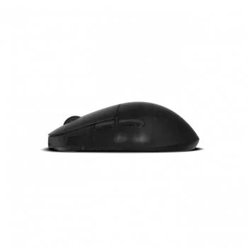 Pelė Endgame Gear XM2w 4k Wireless