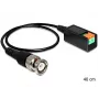Delock 4043619831814 Juoda