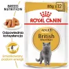 Šlapias kačių maistas Royal Canin British Shorthair Adult pakelis 85 g, paukštiena, ROYAL CANIN Feline Breed Nutrition