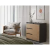 Komoda Topeshop 1D3S 80×40×75 cm, antracito ąžuolo amatininko matinė