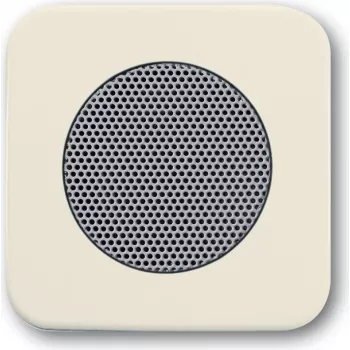 Busch-Jaeger 2CKA008200A0076 domofono sistemos priedas Aufspannplatte (2CKA008200A0076)