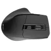 pelė Tracer Cozy Right-hand RF Wireless Optical 1600 DPI