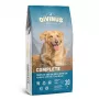 DIVINUS Complete Adult - sausas šunų ėdalas - 20 kg