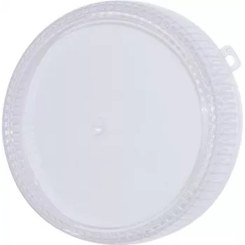 Atsarginis spalvotas gaubtas EUROLITE Techno Strobe 94202020 — 205 mm skaidrus