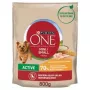 PURINA One Mini Active Vištiena, Ryžiai - Sausas šunų maistas - 800 g