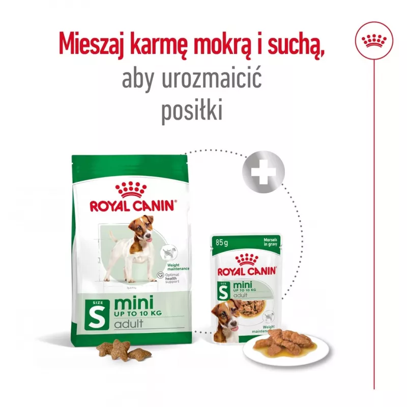 Sausas šunų maistas Royal Canin Adult Mini S 8 kg — visavertė mityba mažiems suaugusiems šunims