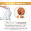 Šlapio kačių maisto pakeliai Purina Gourmet Gold Savoury Cake Mix 48×85 g, suaugusioms katėms, 74% drėgmės, 17% baltymų
