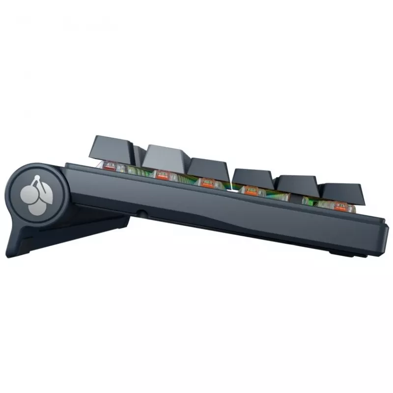 Mechaninė klaviatūra Cherry MX 8.3 belaidė RGB raudoni jungikliai DE išdėstymas