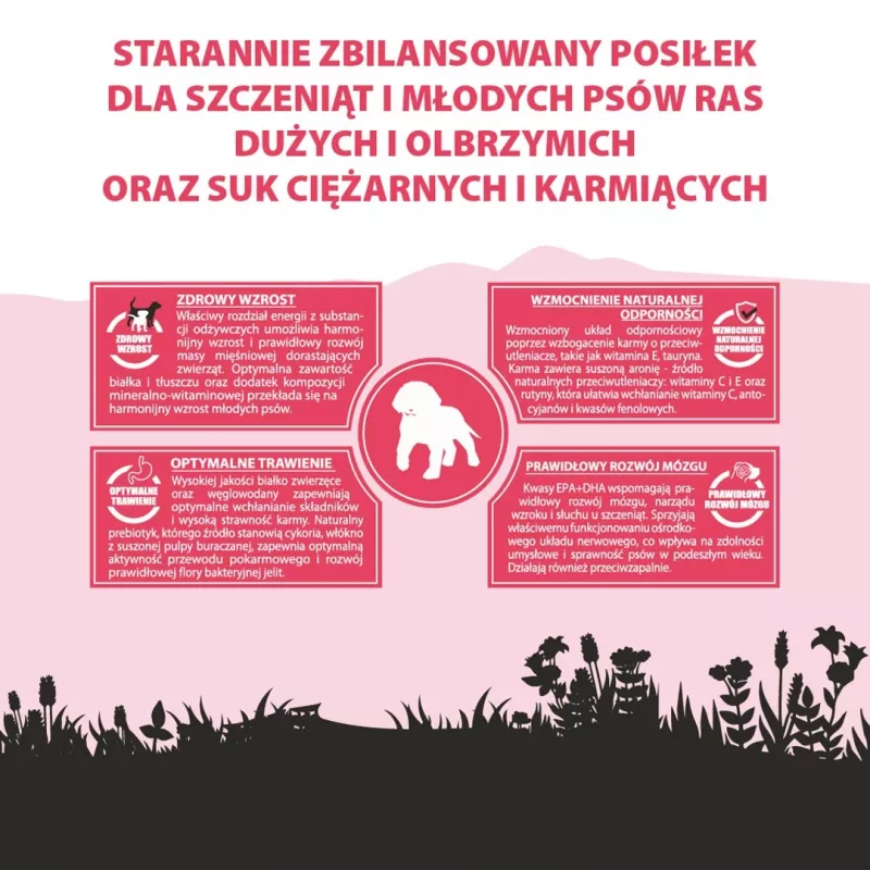PUPIL Premium Junior didelių ir labai didelių veislių šunims, gausu jautienos - sausas šunų maistas - 12kg