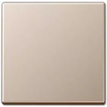 Sieninė plokštelė-įdėklas Jung A 590 CH, šampano apdaila, suderinama su Jung 501/502/503/506/507 serijomis