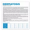 Sausas šunų maistas VETEXPERT Dermatosis Rabbit & Potato 12 kg — veterinarinė dieta odai palaikyti, baltymai 26%, riebalai 15%
