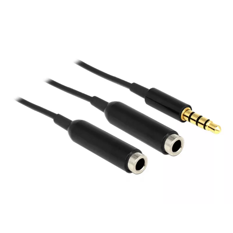 Garso kabelis DeLOCK 65575 0.25m 3.5mm 2 x 3.5mm juodas