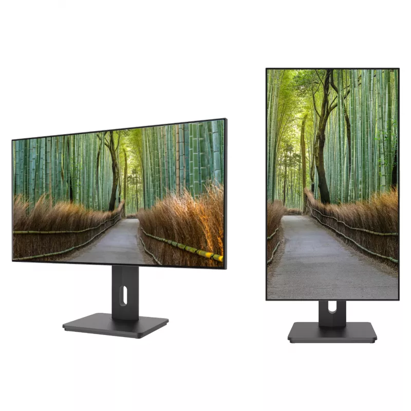 JAPANNEXT JN-27IPS4FLWQHDR-HSP 16 9 HDMI/DP WQHD - plokščias ekranas (TFT/LCD)