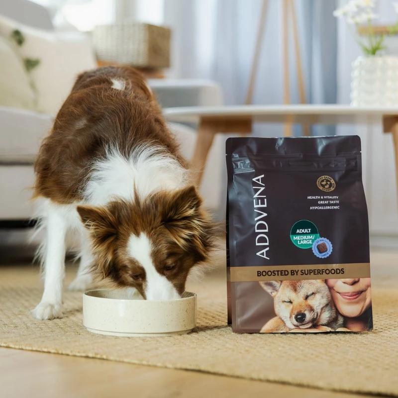 ADDVENA Boosted by superfoods Adult Medium/Large Beef - sausas šunų ėdalas - 2,5kg