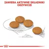 ROYAL CANIN Mini Dermacomfort - sausas maistas suaugusiems mažų veislių šunims, turintiems jautrią, sudirgimui linkusią odą - 3kg