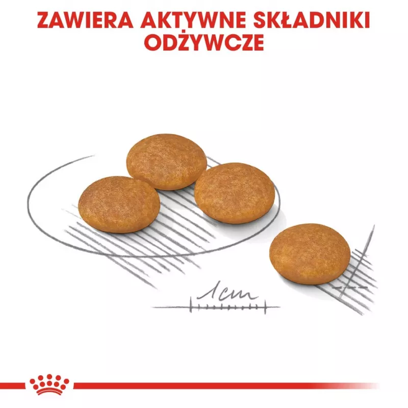 ROYAL CANIN Mini Dermacomfort - sausas maistas suaugusiems mažų veislių šunims, turintiems jautrią, sudirgimui linkusią odą - 3kg