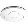 Prieigos taškas Draytek VIGOR AP 912C 1200 Mbit/s Dviejų Juostų Wi-Fi 802.11ac