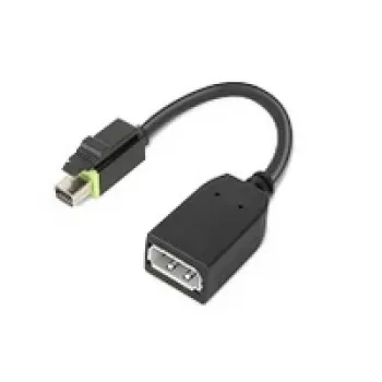 Lenovo 4X90Q93975 vaizdo kabelio adapteris Mini DisplayPort DisplayPort juodas
