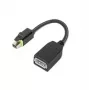 Lenovo 4X90Q93975 vaizdo kabelio adapteris Mini DisplayPort DisplayPort juodas