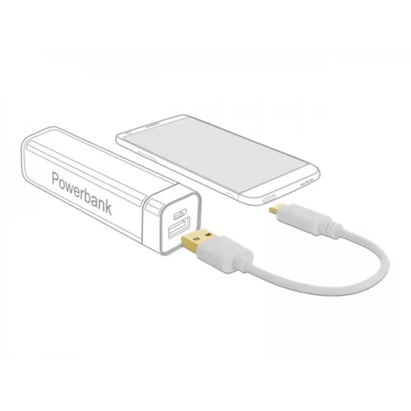 USB įkrovimo laidas DeLOCK Type-A į USB Type-C 15 cm
