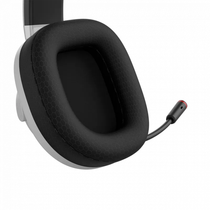 Ausinės CANYON EGO GH-15 2in1 BT baltos