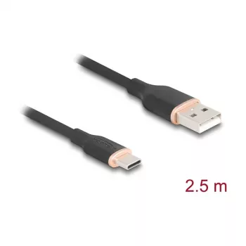 USB kabelis DeLOCK 81227 2,5 m USB A USB C juodas