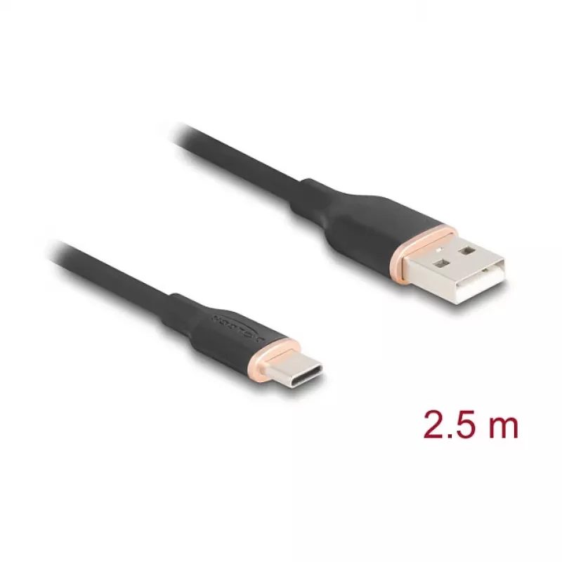 USB kabelis DeLOCK 81227 2,5 m USB A USB C juodas