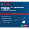 Bosch Expert 2 608 900 410 siaurapjūklio / slankiojo pjūklo / atbulinio pjūklo geležtė Carbide 1 vnt.