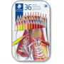 Spalvoti pieštukai Staedtler 175 Daugiaspalviai 36 vnt.