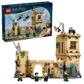 LEGO HARRY POTTER 76447 Hoguarto pilis: Skrydžio pamokos