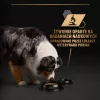 PURINA Pro Plan Everyday nutrition All size Adult Turkey in jelly - šlapias šunų maistas - 400g