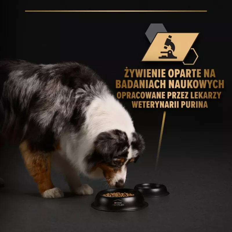 PURINA Pro Plan Everyday nutrition All size Adult Turkey in jelly - šlapias šunų maistas - 400g